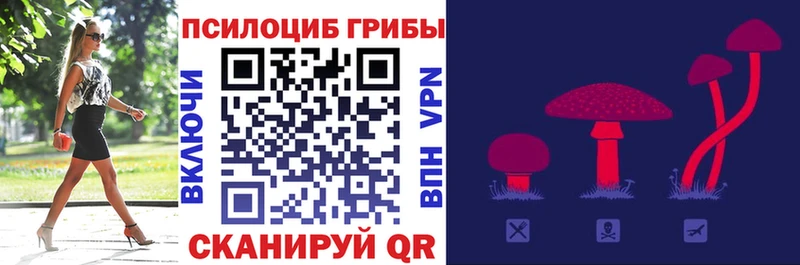 Галлюциногенные грибы мухоморы  Купить где  Новосиль 